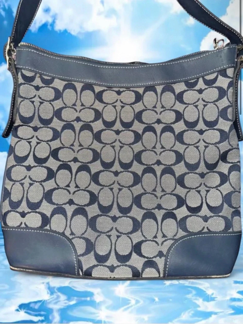 Coach Signature Canvas Shoulder bag